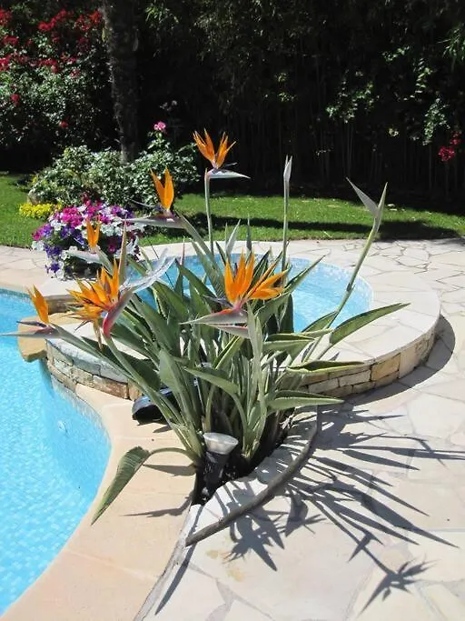 Studio Dans Villa De Charme, Piscine, Proche Plage Cassis 0*,  France